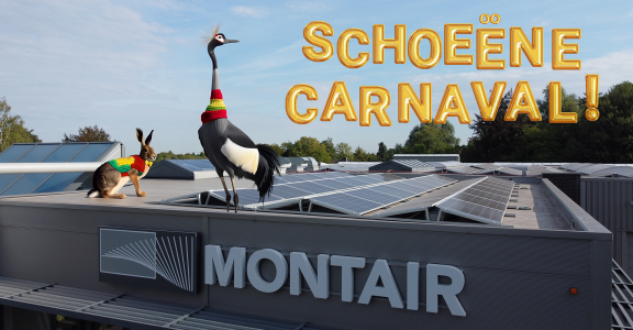 Fijne carnaval van Montair